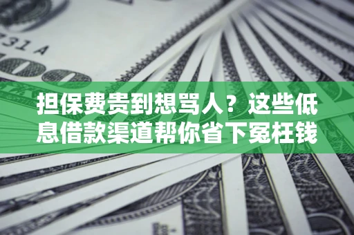 济南担保费贵到想骂人？这些低息借款渠道帮你省下冤枉钱