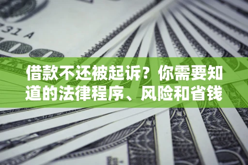 济南借款不还被起诉？你需要知道的法律程序、风险和省钱技巧
